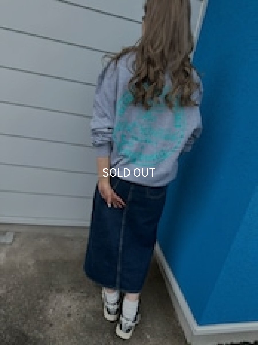 画像2: TWRオリジナル　サークルロゴティファニーブルークルーネックスウェット (2)