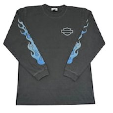 画像2: TWRオリジナル　ハーレーTWRソン (2)