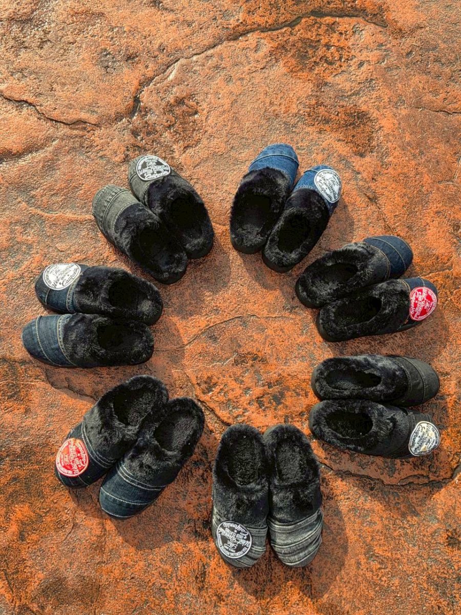 画像1: TWR×FREELY　デニムスリッポン (1)