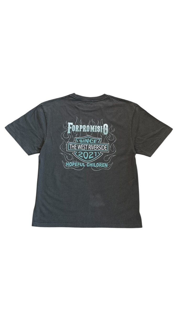 画像8: ハーレーTWRソン Tシャツ (8)