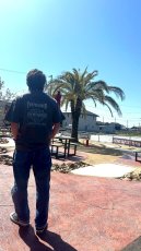 画像13: ハーレーTWRソン Tシャツ (13)