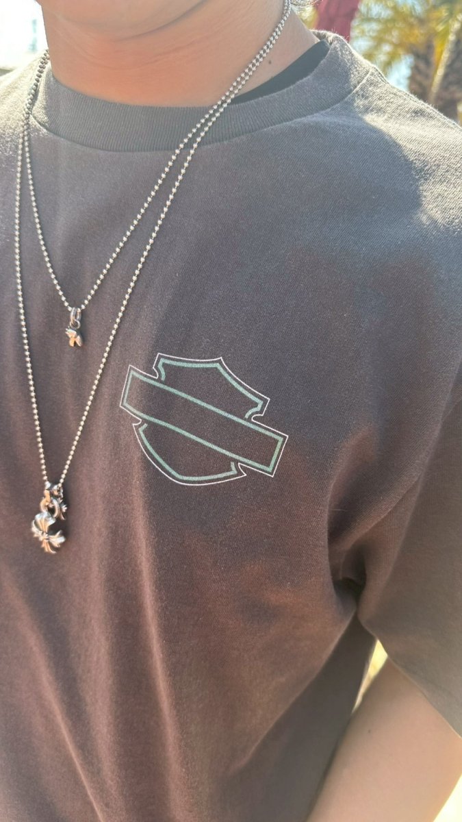 画像12: ハーレーTWRソン Tシャツ (12)