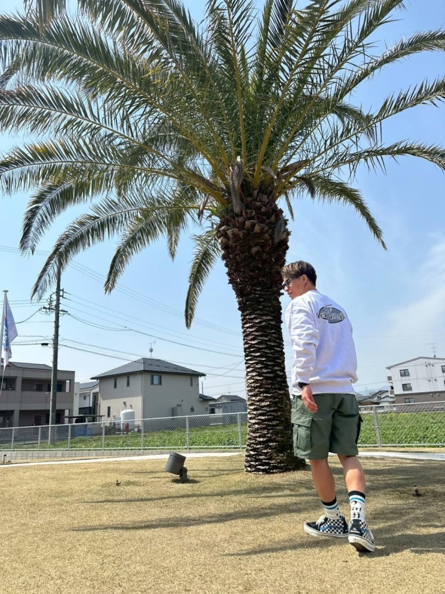 画像4: ＴＷＲオリジナル　カリフォルニアクルーネックスウェット (4)