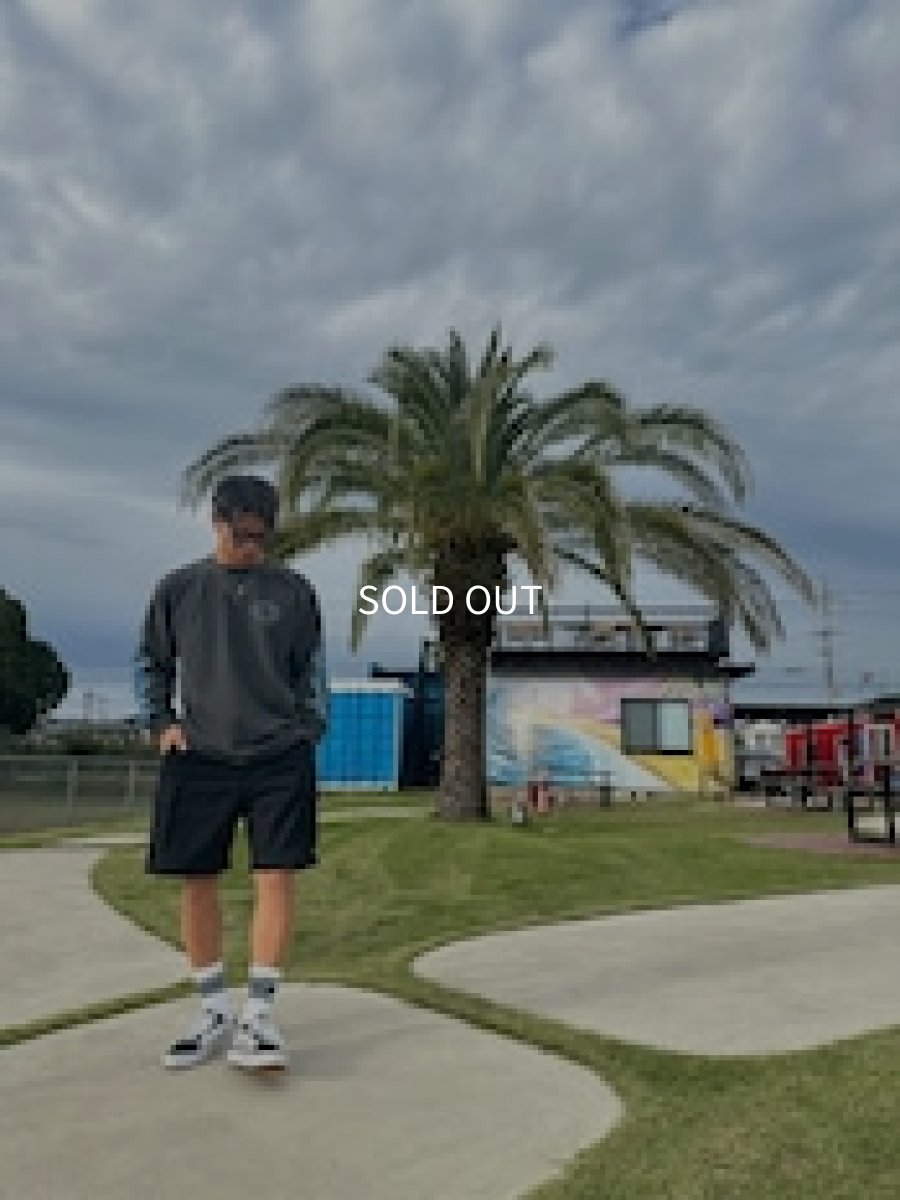 画像6: TWRオリジナル　ハーレーTWRソン (6)