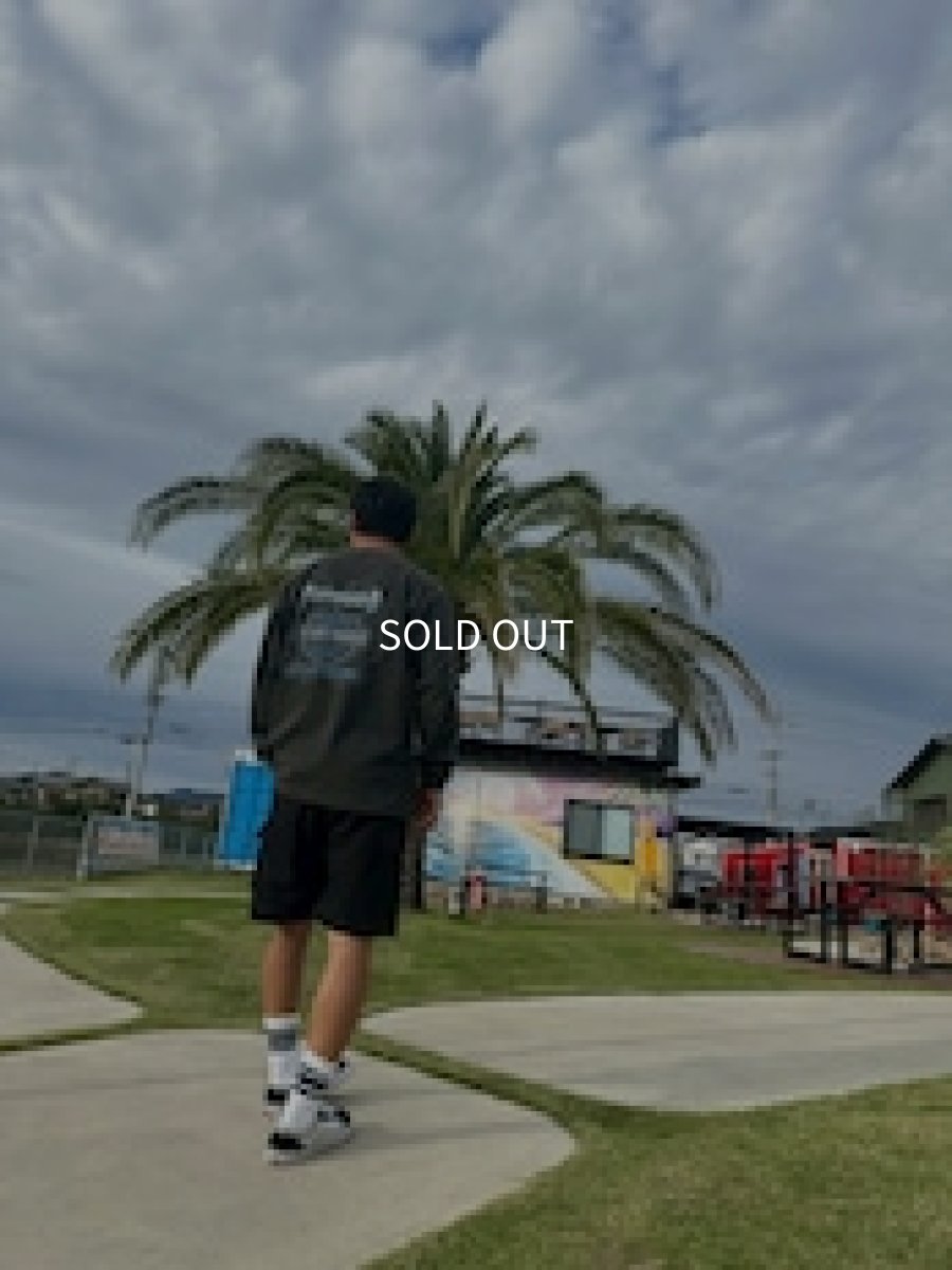 画像7: TWRオリジナル　ハーレーTWRソン (7)