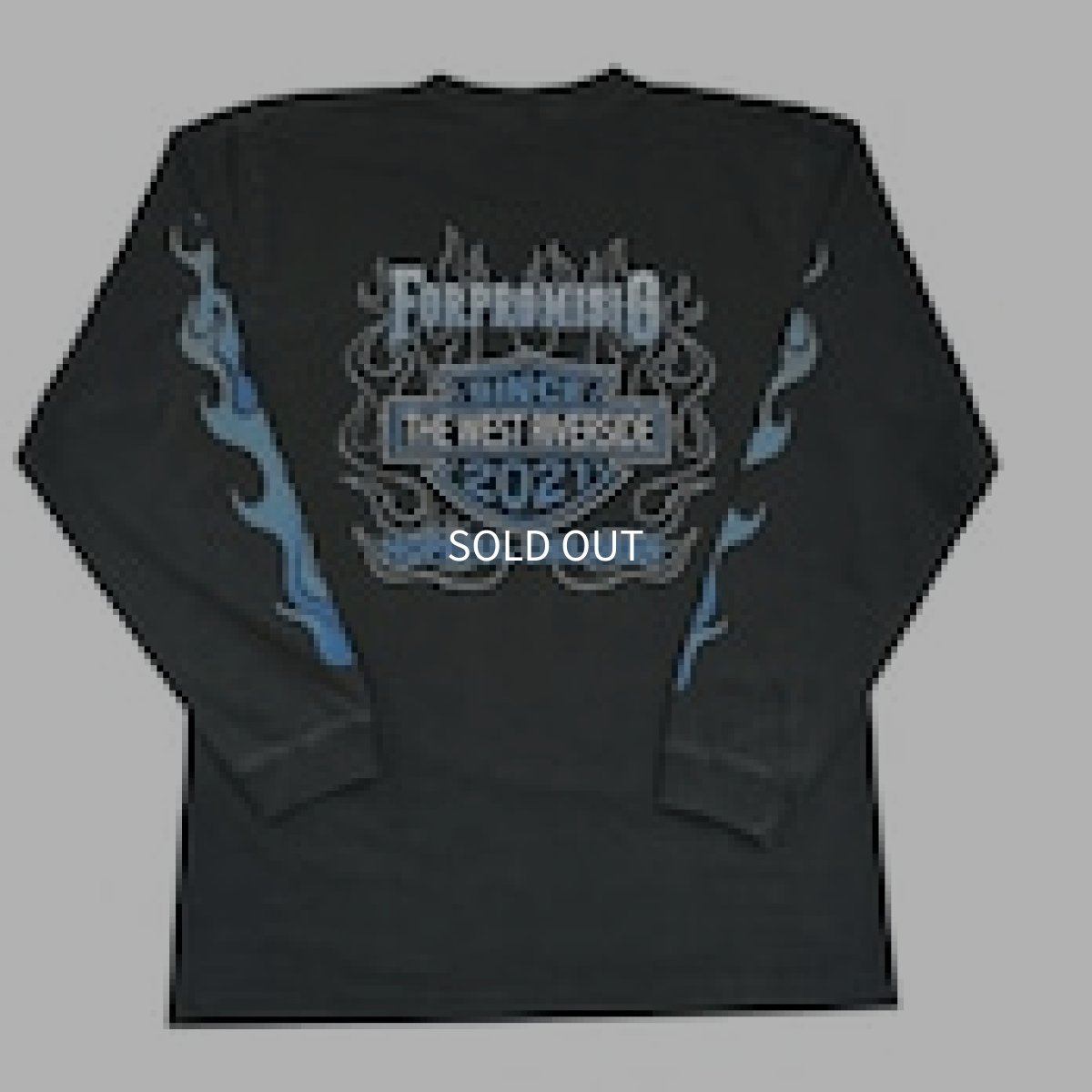 画像1: TWRオリジナル　ハーレーTWRソン (1)