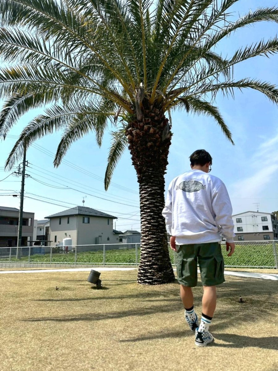 画像1: ＴＷＲオリジナル　カリフォルニアクルーネックスウェット (1)