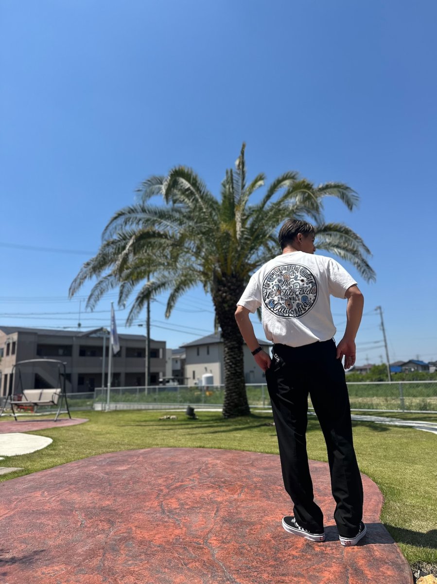 画像1: ＴＷＲオリジナル　ペイズリー柄サークルロゴ半袖Ｔシャツ (1)