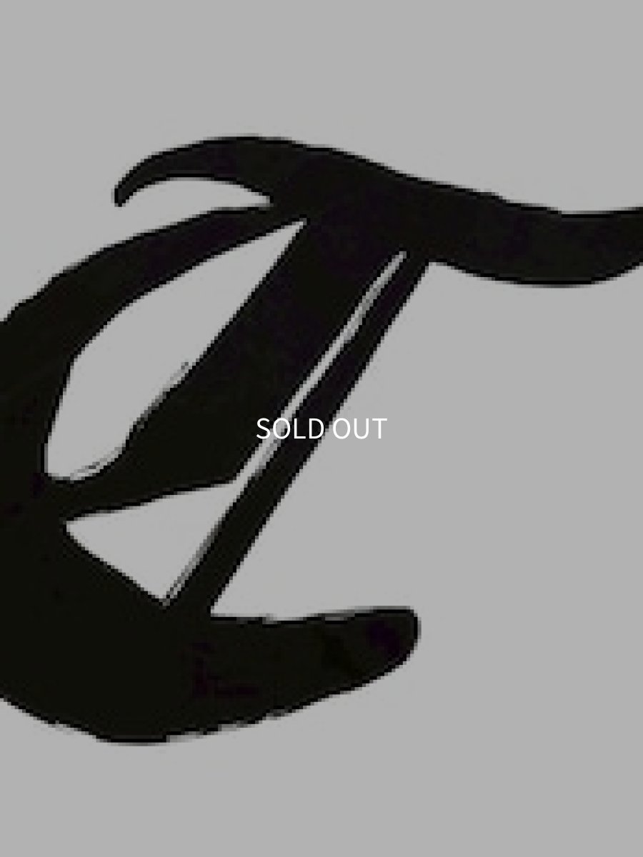 画像3: TWRオリジナル　筆文字ロンT (3)