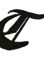 画像3: TWRオリジナル　筆文字ロンT (3)