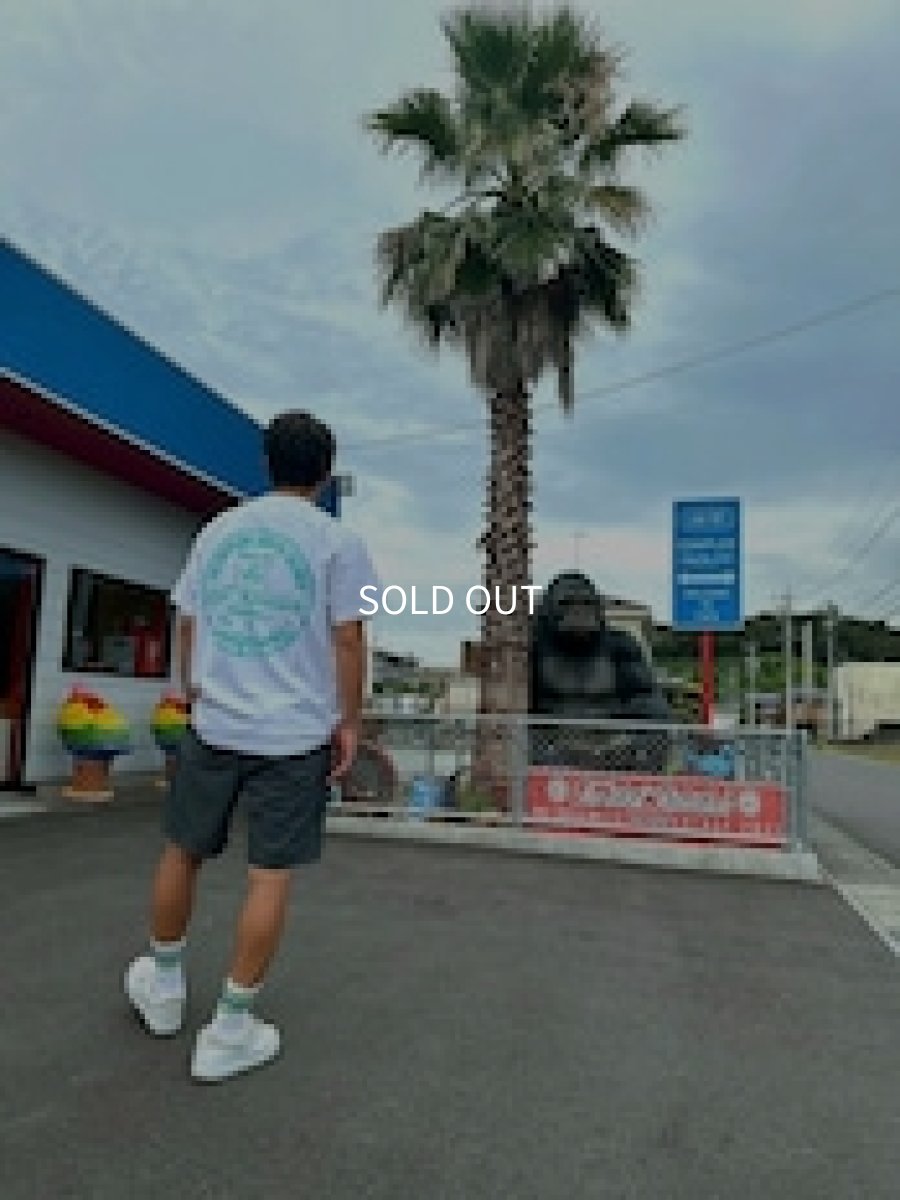 画像7: TWRオリジナル　サークルロゴティファニーブルーTシャツ (7)