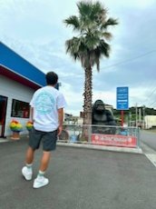 画像7: TWRオリジナル　サークルロゴティファニーブルーTシャツ (7)